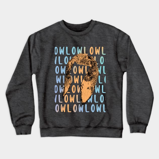 Flying Owl Crewneck Sweatshirt by ilhnklv